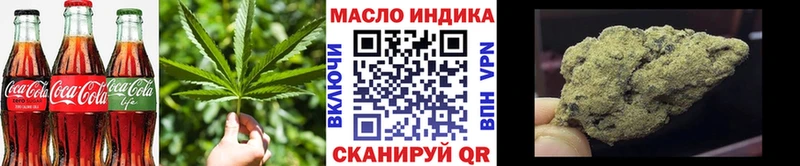 Купить закладки  Волхов  Cannafood конопля 