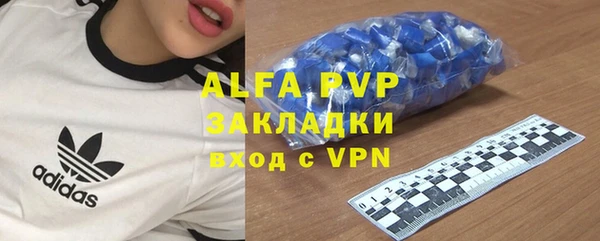 индика Бугульма