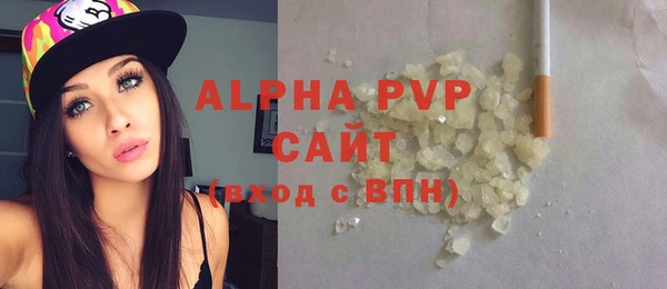 индика Бугульма