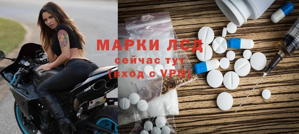 индика Бугульма