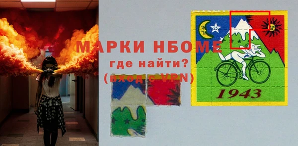 индика Бугульма