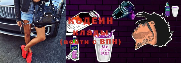 индика Бугульма
