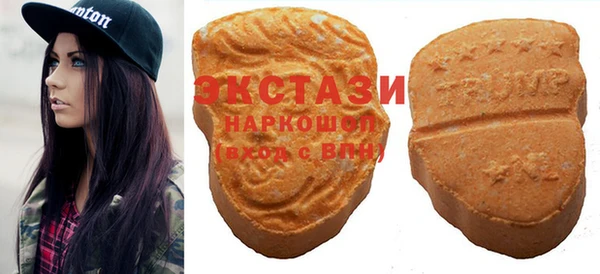 индика Бугульма