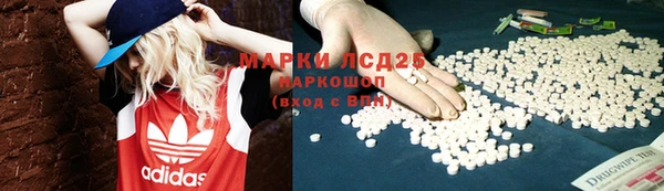 индика Бугульма