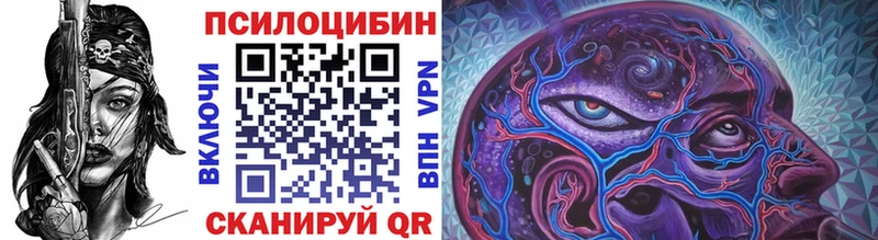 Купить закладки  Волхов  Псилоцибиновые грибы мицелий 